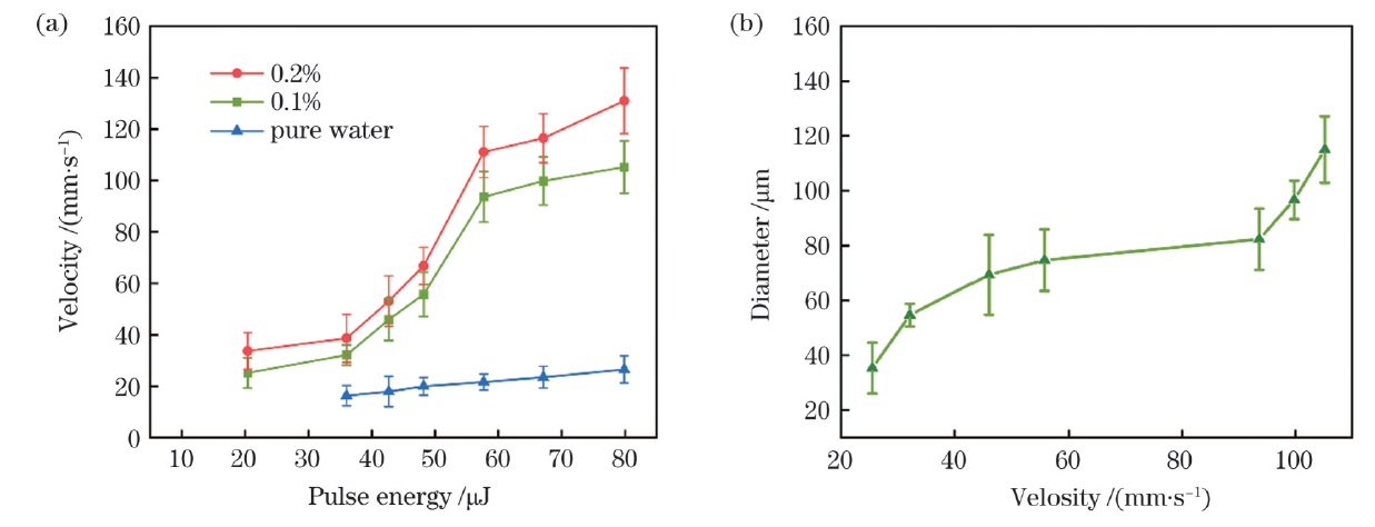 1767089321202068.png img_134075579381633863.png