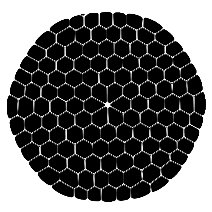 1785475381420123.png