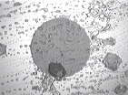 1790057013148297.png 1790057013148297.png